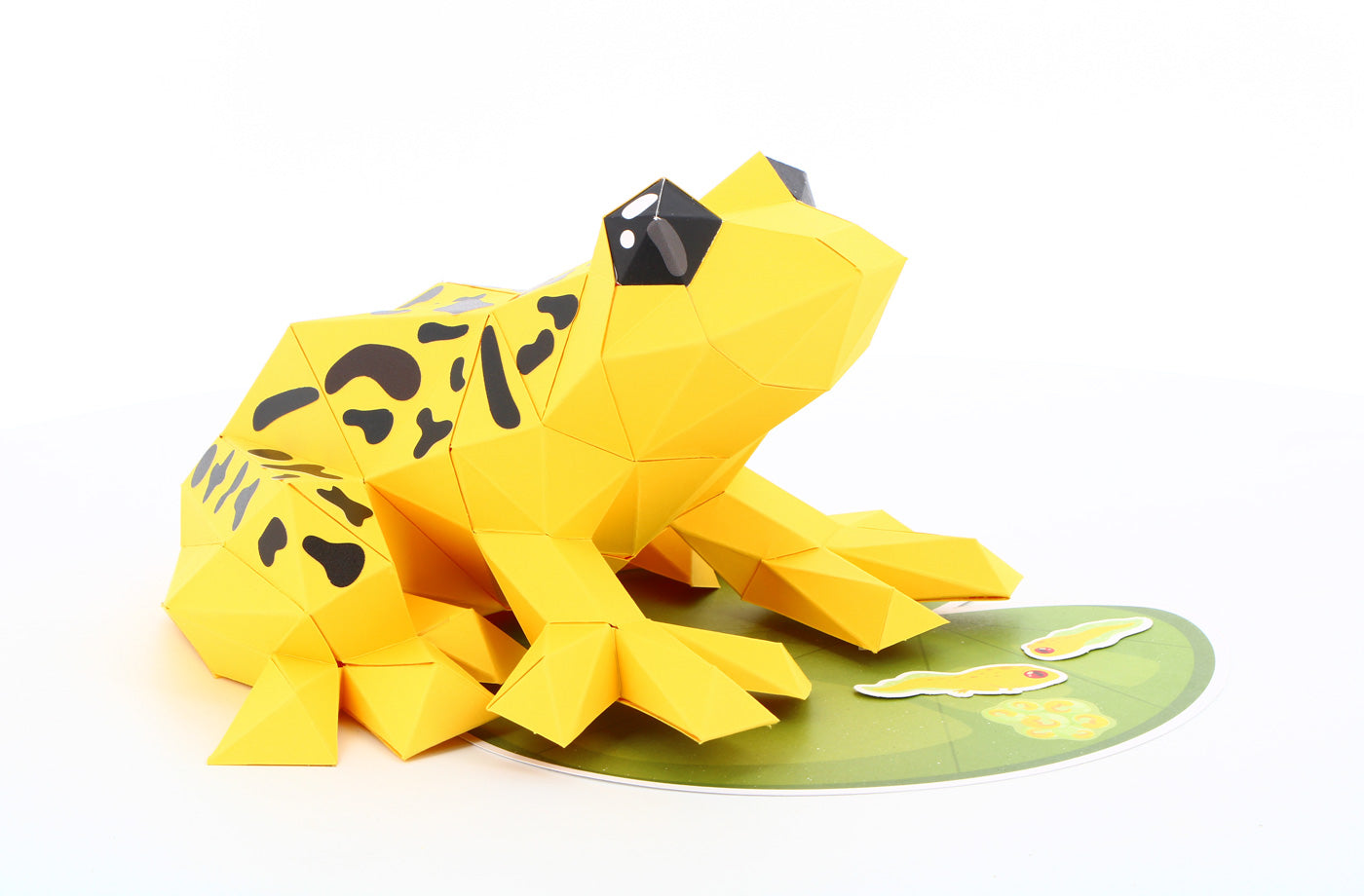 Kikker - Eveli Makkelijk (papier) 3D Origami DIY Papercraft